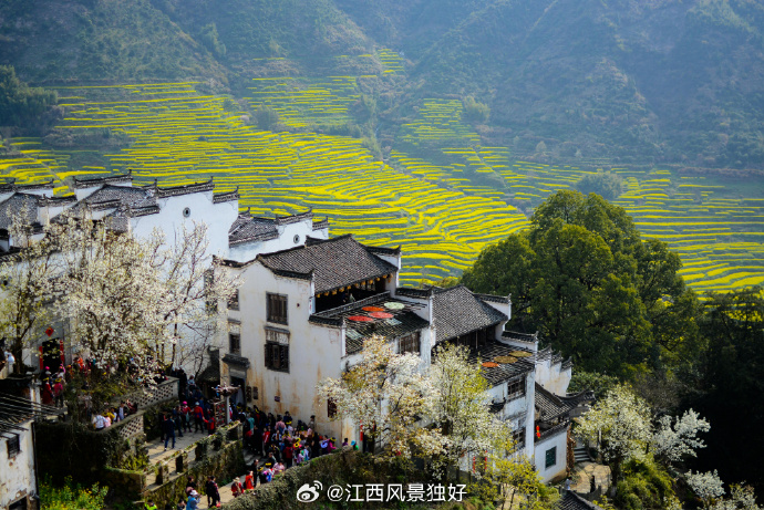 江西之旅，初探与感悟